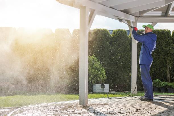 Best Driveway Cleaning and Restoration in University Heights, IA