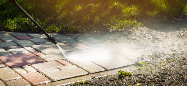 Best Roof Cleaning and Mildew Removal in University Heights, IA