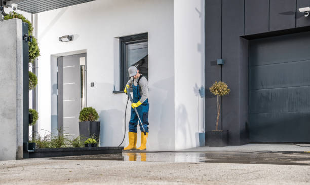 Best Soft Washing for Delicate Surfaces in University Heights, IA